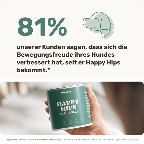 Hunde Gelenksnack Happy Hips Studienergebnisse