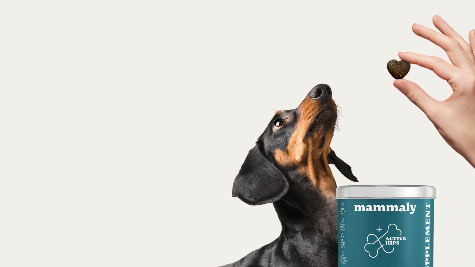 Wichtige Anzeichen, dass dein Hund Unterstützung für seine Gelenke braucht