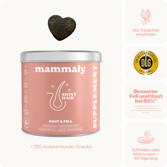 Hunde Fellpflege-Snack Shiny Hair Produktverpackung