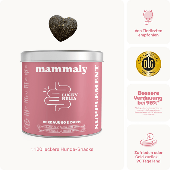 Hunde Verdauungssnack Lucky Belly Produktverpackung