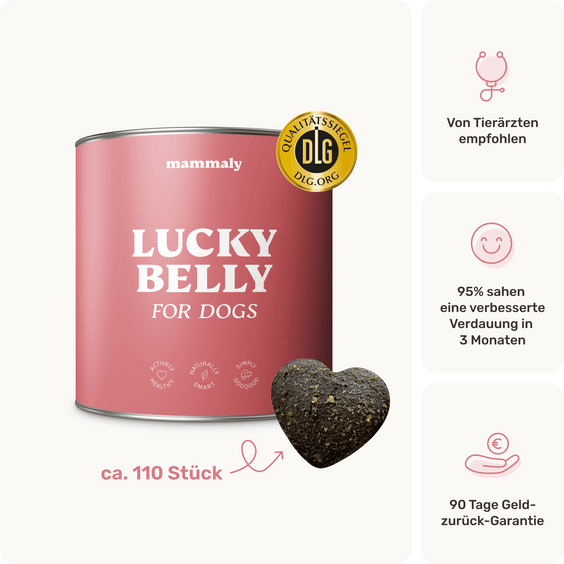 Hunde Verdauungssnack Lucky Belly Produktverpackung
