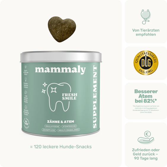 Hunde Zahnpflegesnack Fresh Smile Produktverpackung