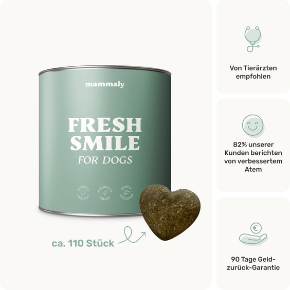 Hunde Zahnpflegesnack Fresh Smile Produktverpackung