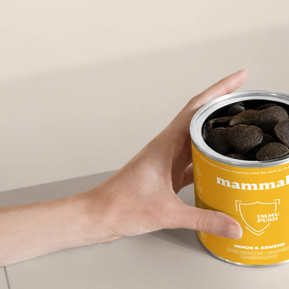 Immu Push - mammaly
