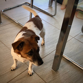 Krümel & Petra, 19.02.2025