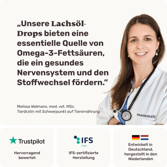 Lachsöl-Drops für Hunde Tierarztempfehlung