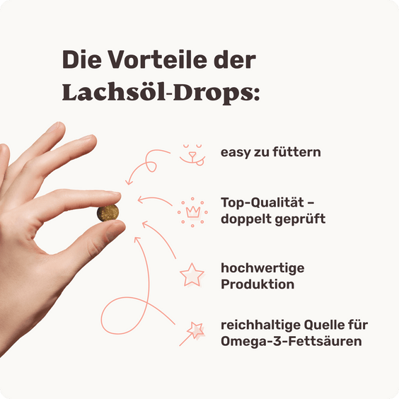 Lachsöl-Drops für Hunde Produktvorteile