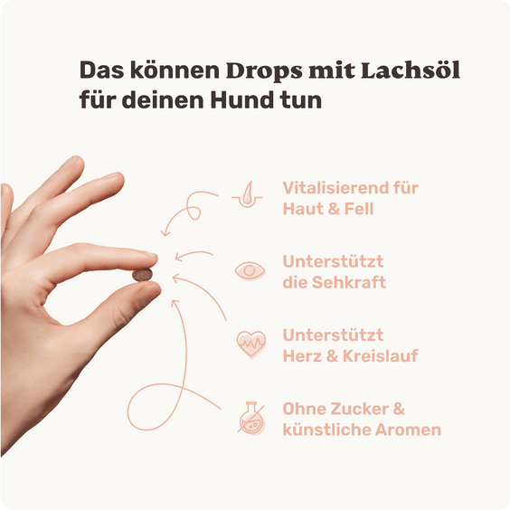 Lachsöl-Drops für Hunde Produktvorteile