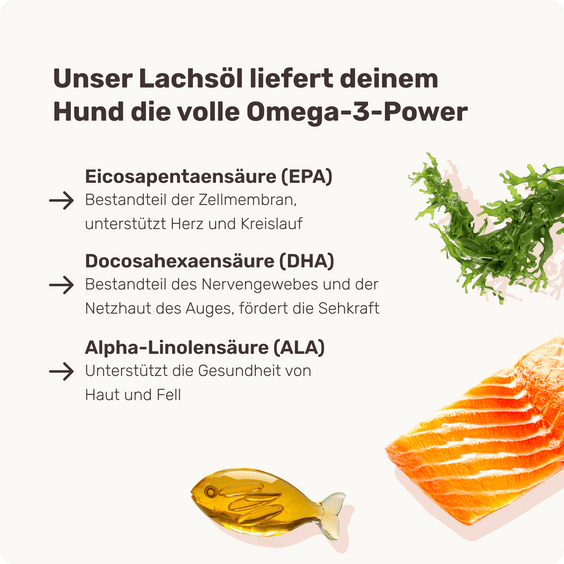 Lachsöl-Drops für Hunde Inhaltsstoffe