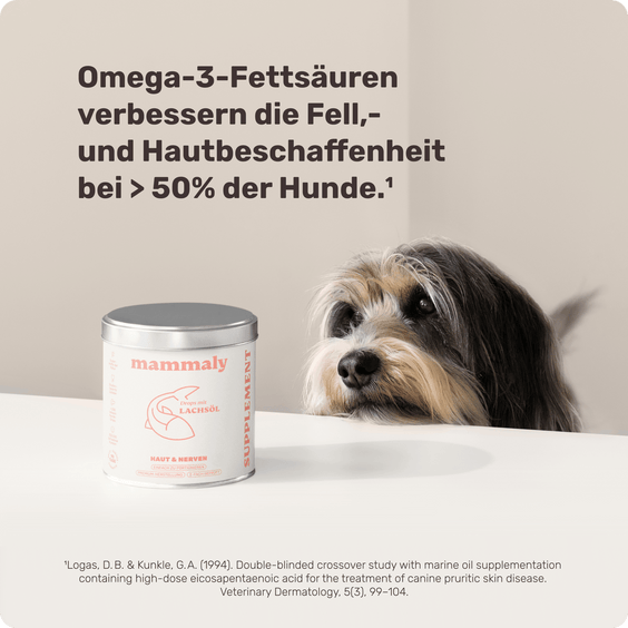 Hunde Lachsöl-Drops Hintergrundwissen