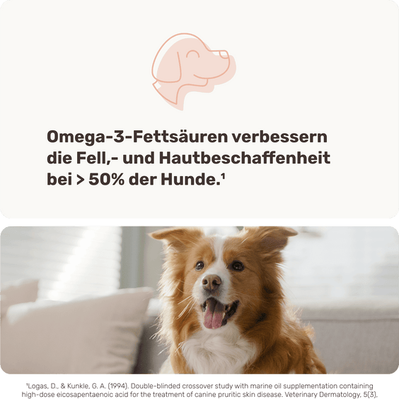 Lachsöl-Drops für Hunde Produktstudie
