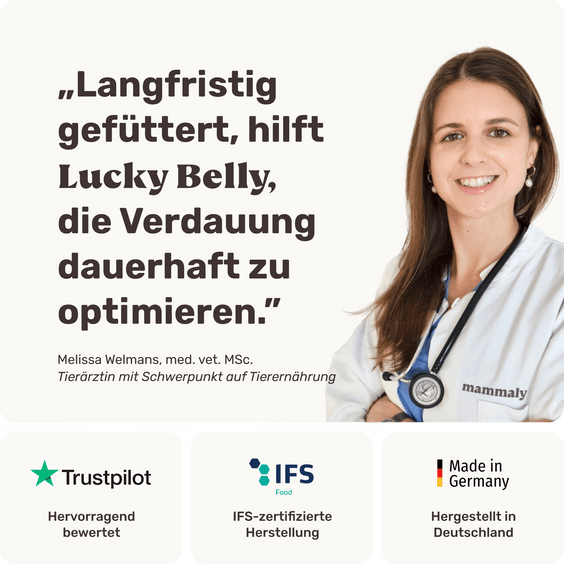 Hunde Verdauungssnack Lucky Belly Tierarztempfehlung
