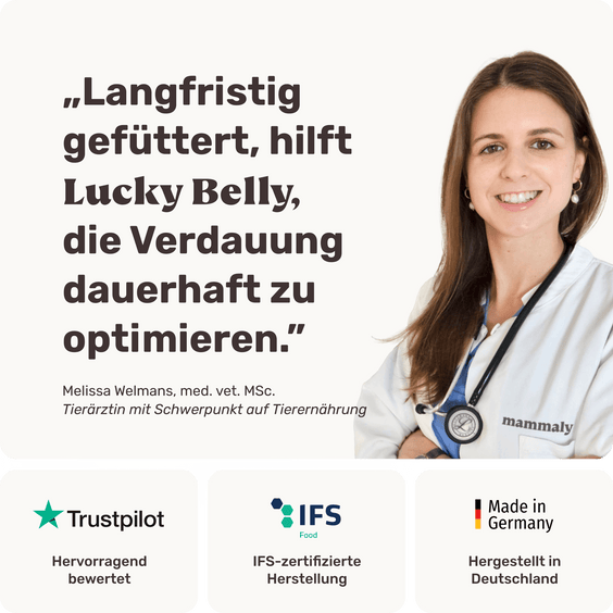 Hunde Verdauungssnack Lucky Belly Tierarztempfehlung