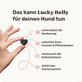 Hunde Verdauungssnack Lucky Belly Produktvorteile