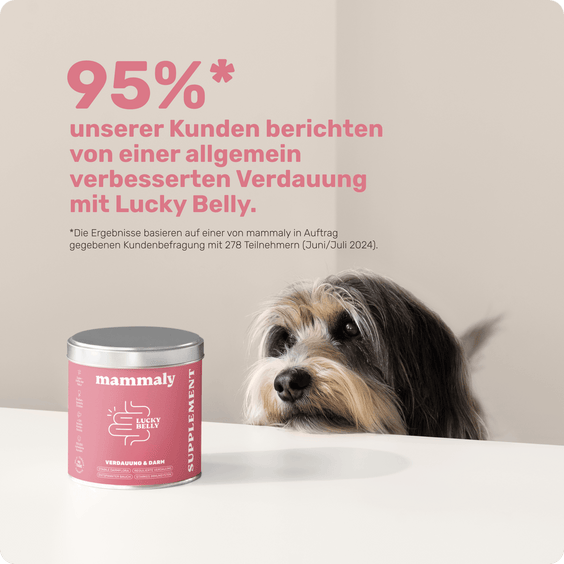 Hunde Verdauungssnack Lucky Belly Kundenumfrage