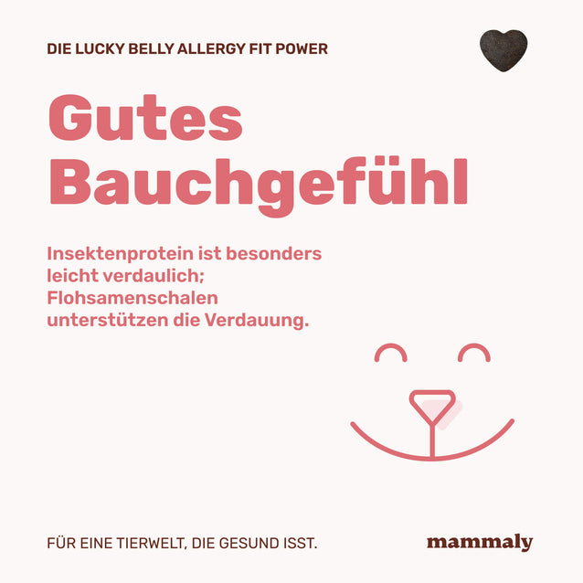Lucky Belly Allergy Fit - mammaly
