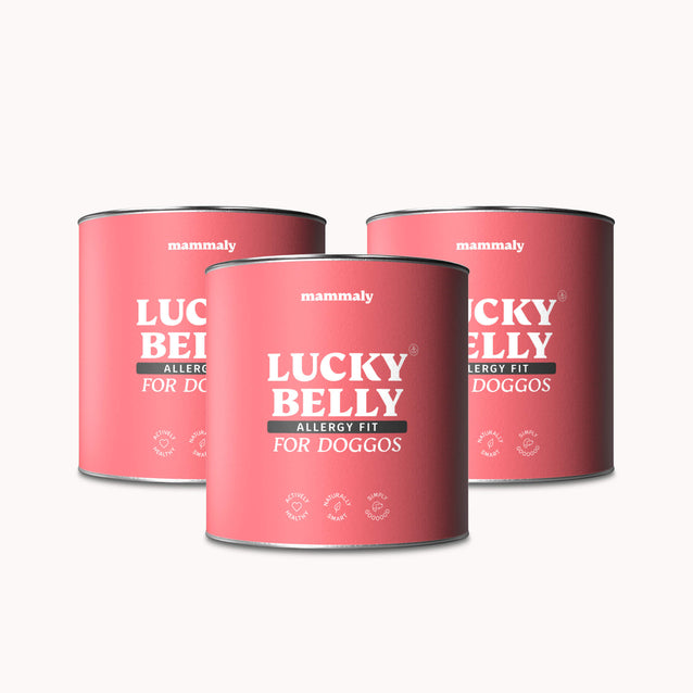 Lucky Belly Allergy Fit - mammaly