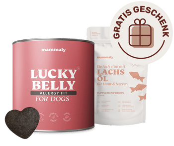 Lucky Belly Allergy Fit