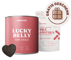 Lucky Belly