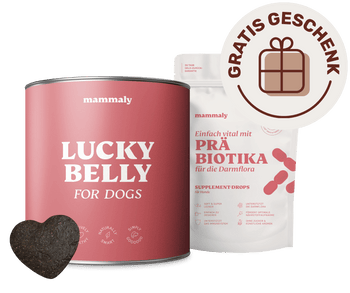 Lucky Belly