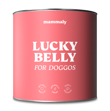 Lucky Belly