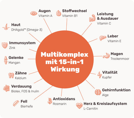Jetzt zuschlagen: Diese Snacks helfen wirklich!