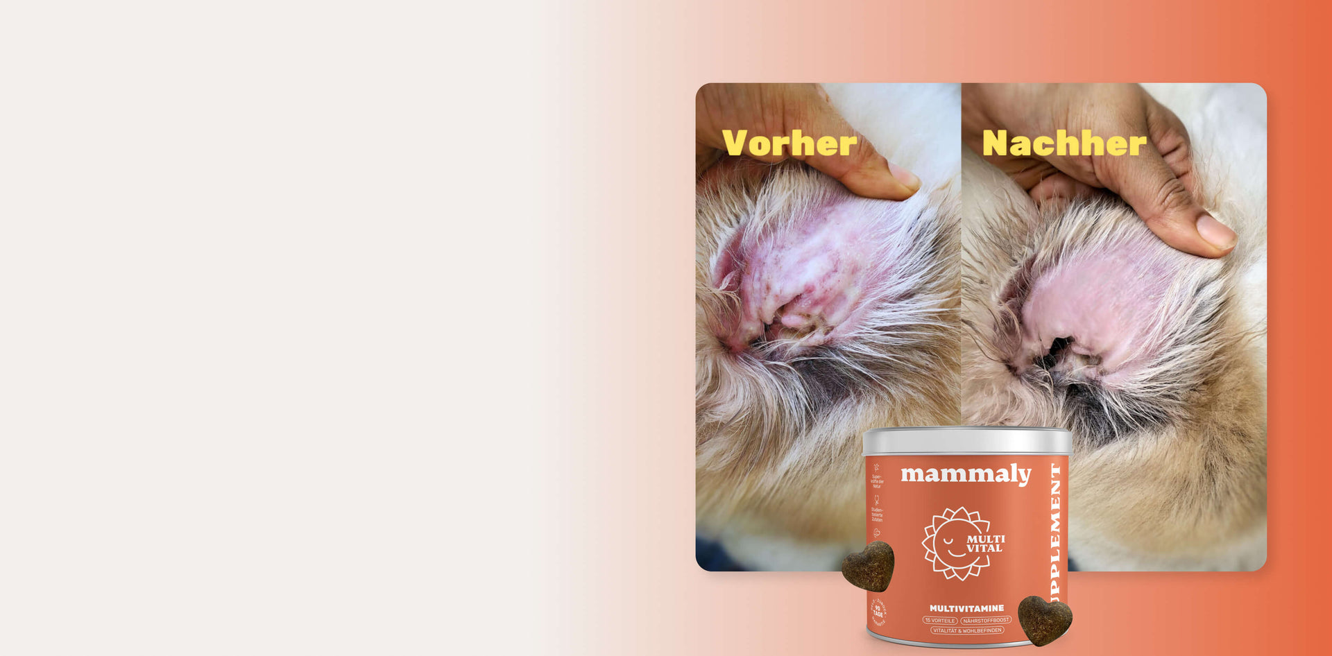 Juckreiz, rote Haut, entzündete Ohren? Viele Hunde leiden – und wir merken es viel zu spät!