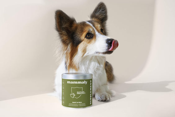 Hunde Outdoor-Snack Nature Protect