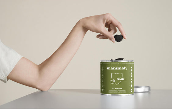 Hunde Outdoor-Snack Nature Protect