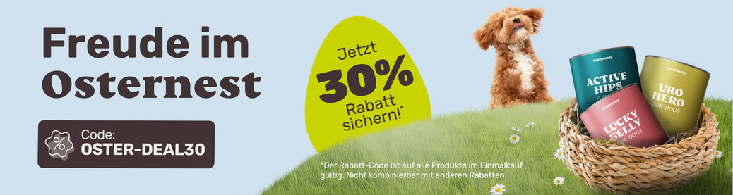 Nachtkerzenöl