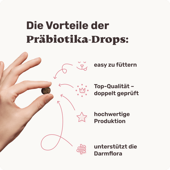 Hunde Präbiotika-Drops Produktvorteile