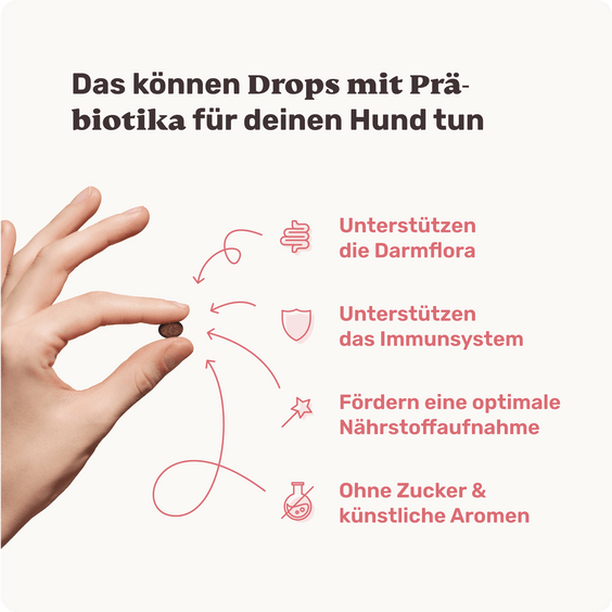 Hunde Präbiotika-Drops Produktvorteile