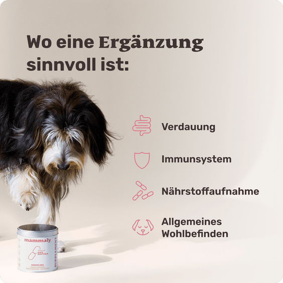 Hunde Präbiotika-Drops Wirkbereiche