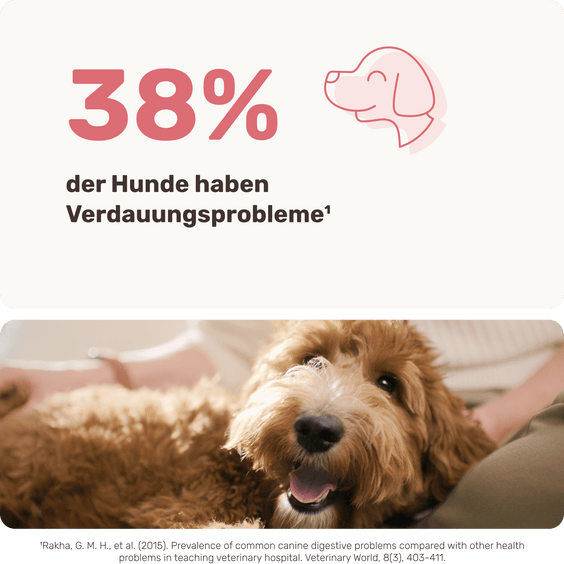 Hunde Präbiotika-Drops Produktstudie