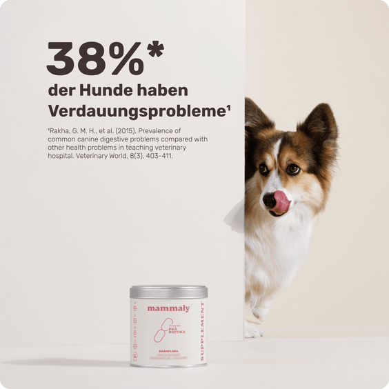 Hunde Präbiotika-Drops Kundenumfrage