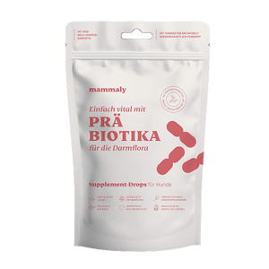 Präbiotika 110 g gratis