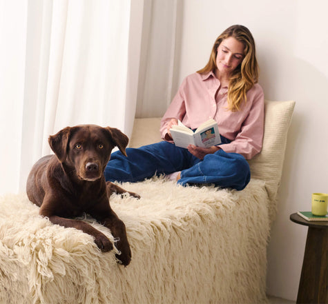 Funktionale Supplements für Hunde – für ein gesundes, langes Hundeleben