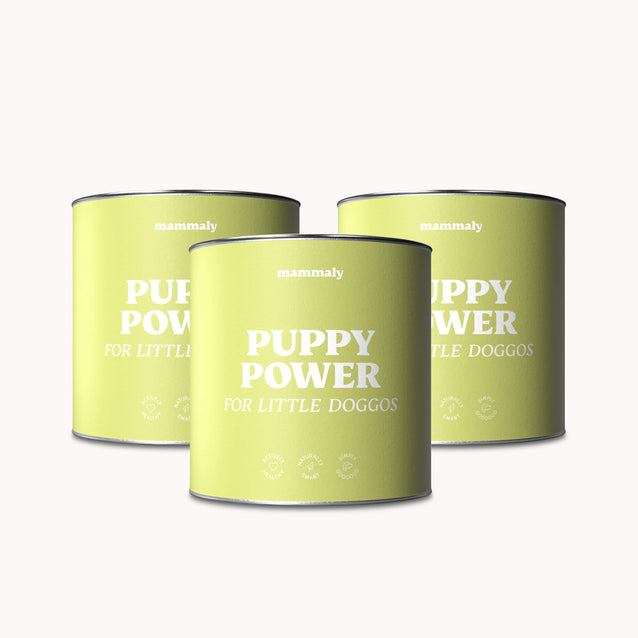 Puppy Power - mammaly