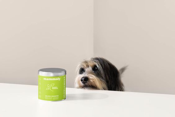 Puppy Power - mammaly