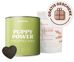 Puppy Power