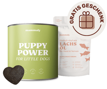 Puppy Power