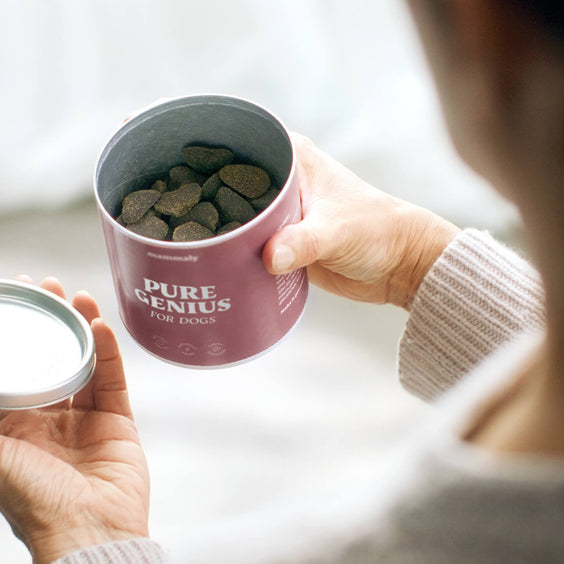Hunde-Snack Pure Genius