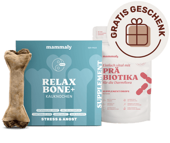 Relax Bone+