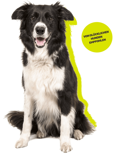 Deshalb überzeugt jeder Snack von mammaly