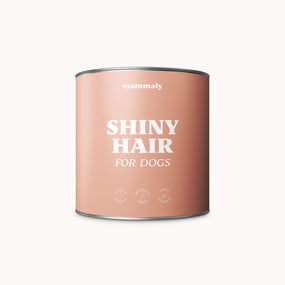 mammaly - Shiny Hair - Snack with Benefits - Doggo - Hunde Snacks - Leckerli - natürlich - gesund - glänzendes Fell - Haut - kratzen