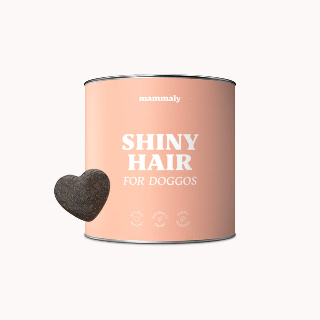 mammaly - Shiny Hair - Snack with Benefits - Doggo - Hunde Snacks - Leckerli - natürlich - gesund - glänzendes Fell - Haut - kratzen