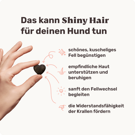 Hunde Fellpflege-Snack Shiny Hair Produktvorteile