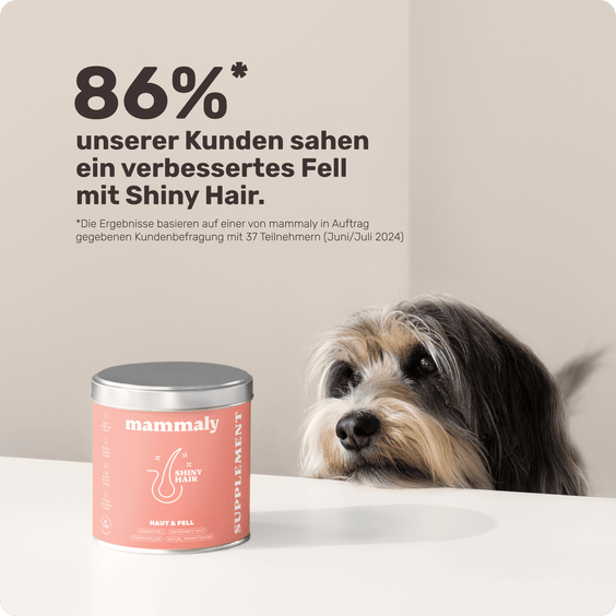Hunde Fellpflege-Snack Shiny Hair Kundenumfrage