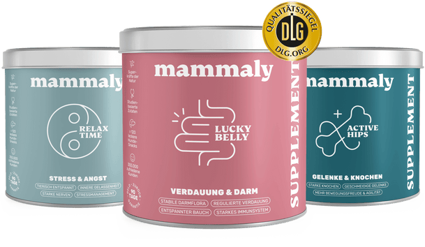 Erlebe die langfristigen Vorteile von mammaly