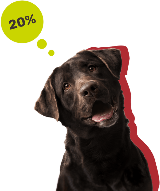 Sichere dir 20% und gratis Versand!